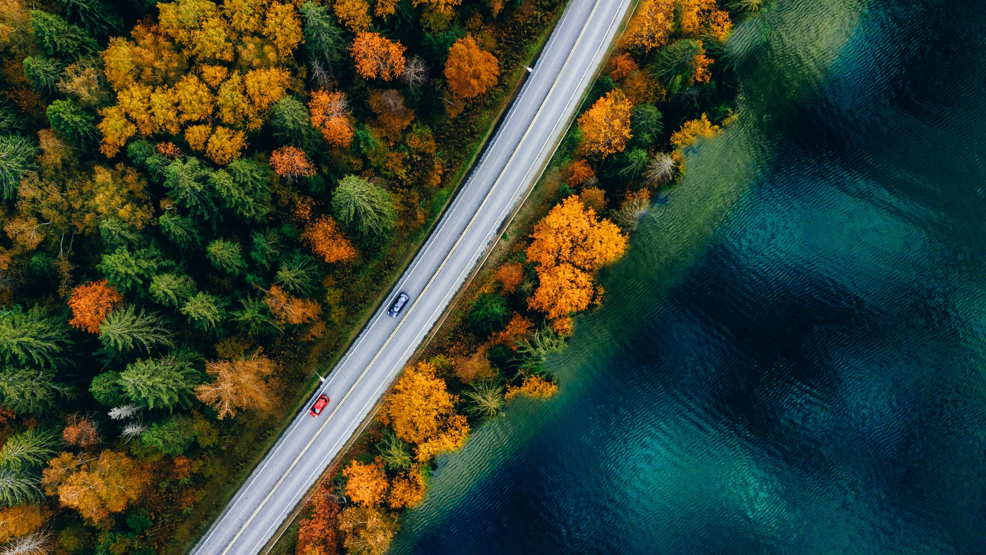 Vista aérea de uma estrada a atravessar uma área florestal, com veículos em circulação e um corpo de água adjacente.