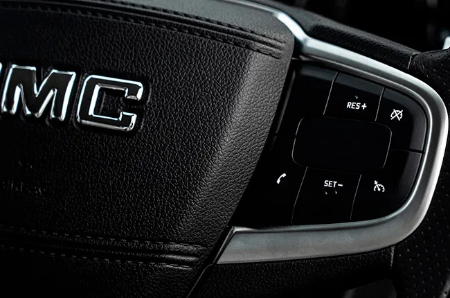Buttons on the Vigus pro steering wheel